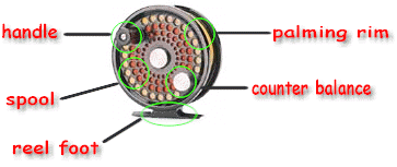 Reel components