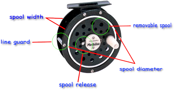 Reel components