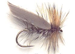 henryville_special.gif (29644 bytes)