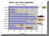 Larva sizes chart