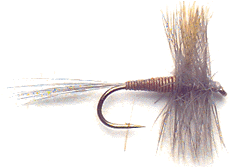 red_quill.gif (15998 bytes)