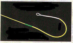wpe20.gif (16118 bytes)